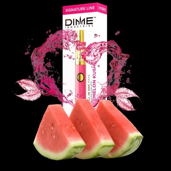 Dime 2G Disposables - Image 5