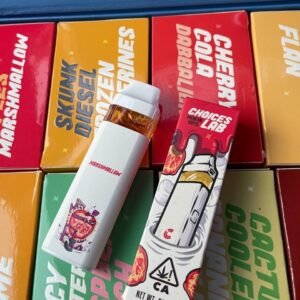 Choices Labs
