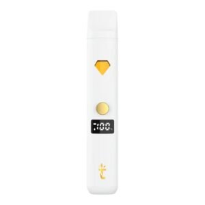 Torch 2G Disposables
