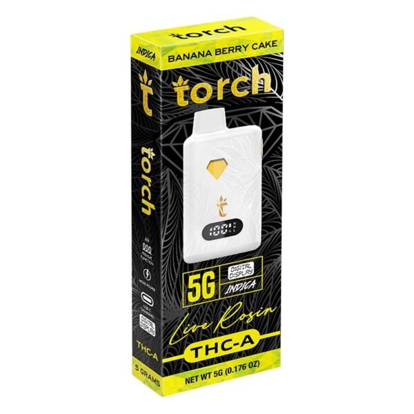 Torch 2G Disposables - Image 4